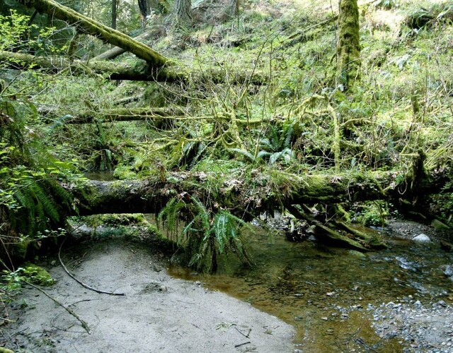 Bandes riveraines urbaines : une responsabilité des propriétaires
