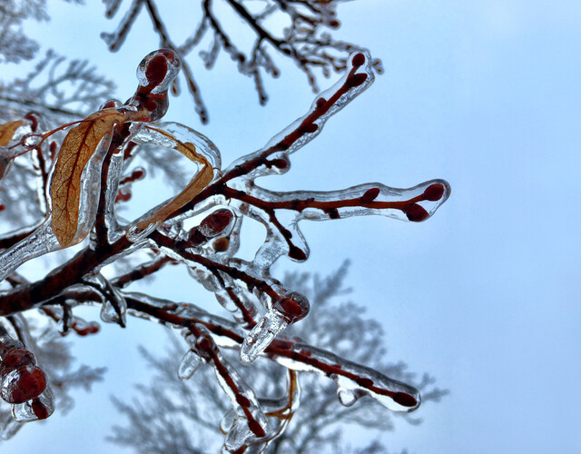 Prévention verglas : mesures prévues en cas de panne d'électricité prolongée