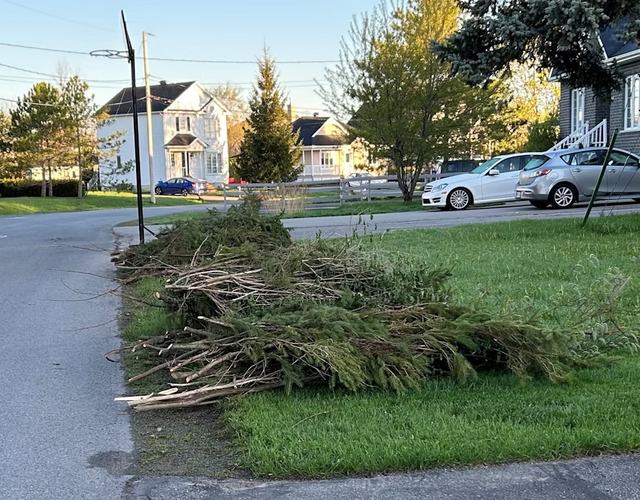 Ramassage des branches - 27, 28 et 29 mai 2025